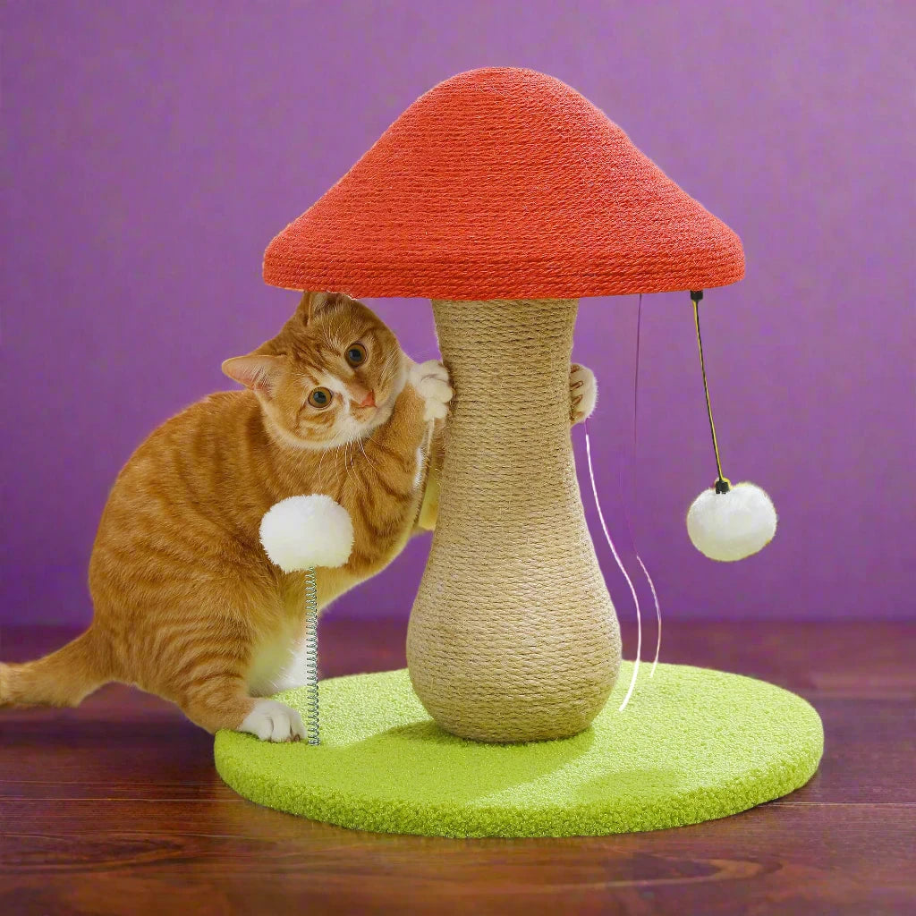 Cat Scratch Mushroom