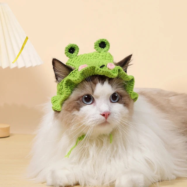 Knitted Cat Hats