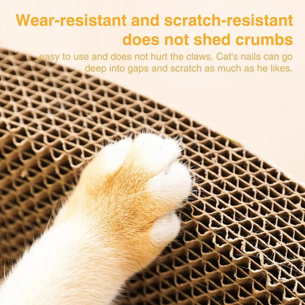 Cardboard Cat Scratcher Bowl