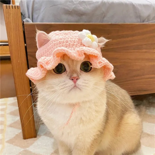 Knitted Cat Hats