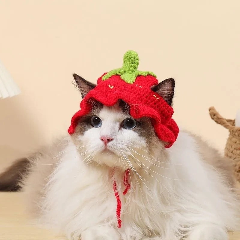 Knitted Cat Hats