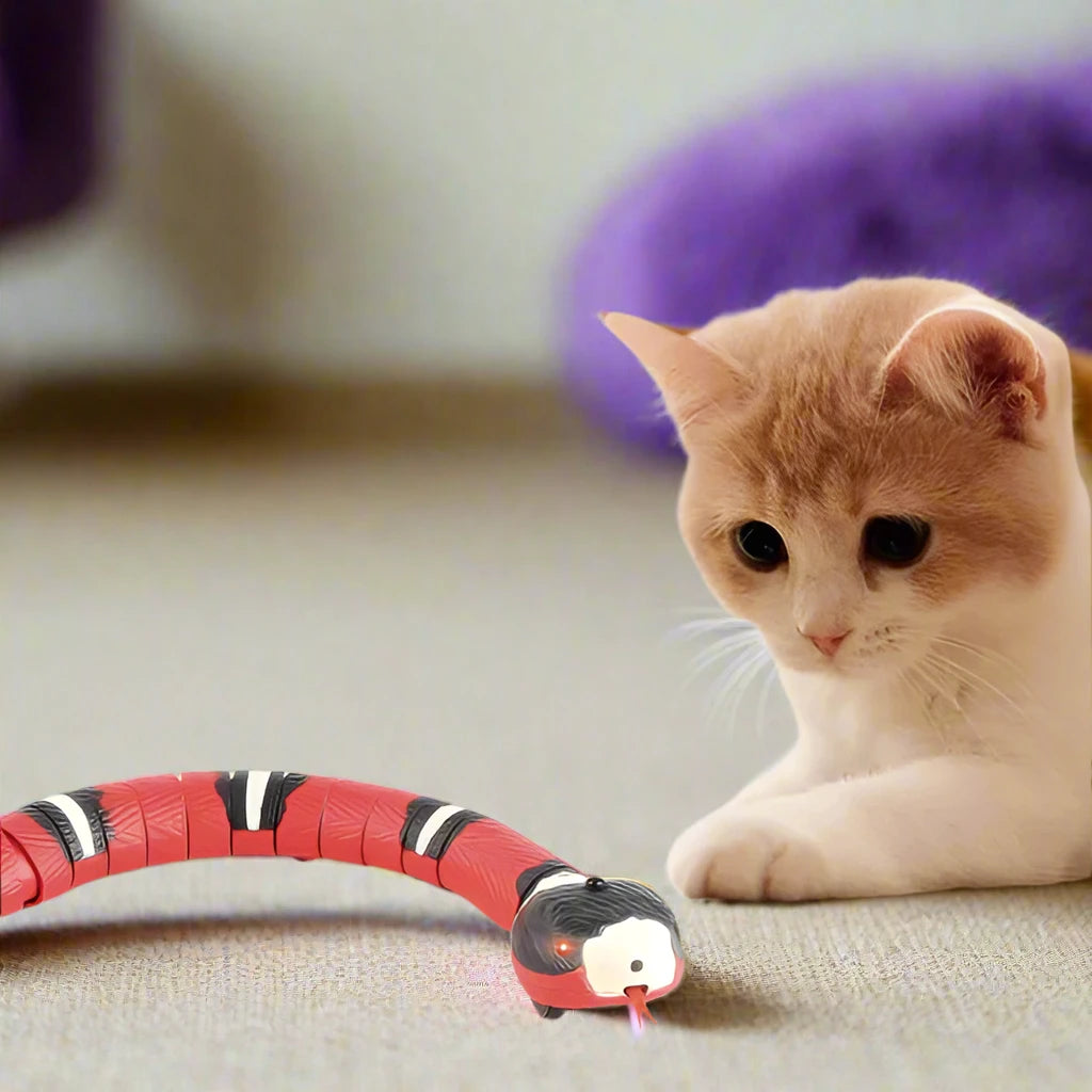 Slithering Snake Toy