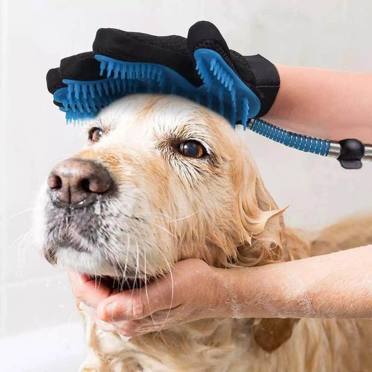 Grooming Glove