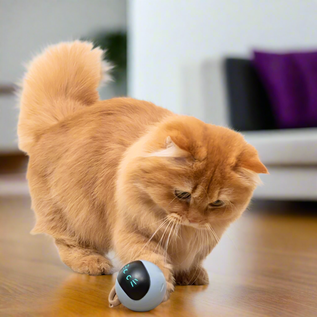 Smart Ball Cat Toy