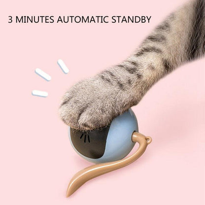 Smart Ball Cat Toy