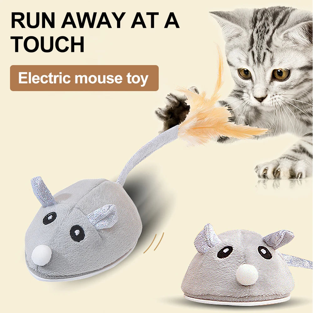Moving Mouse Toy