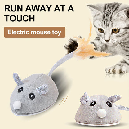 Moving Mouse Toy