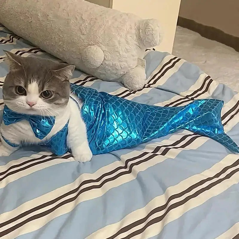 Cat Mermaid Outfit