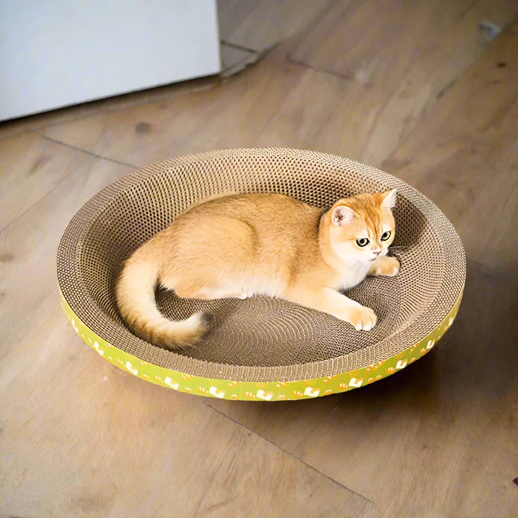 Cardboard Cat Scratcher Bowl