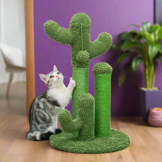 Cactus Cat Scratcher