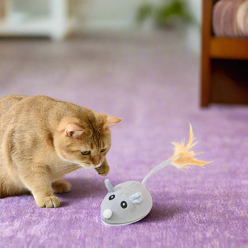 Moving Mouse Toy