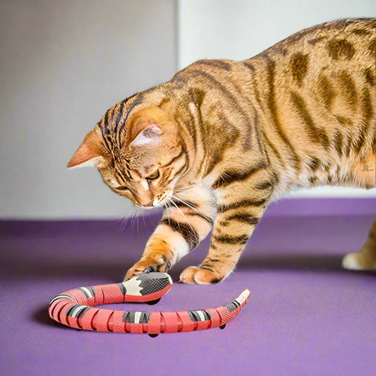 Smart Sensing Snake Cat Toy