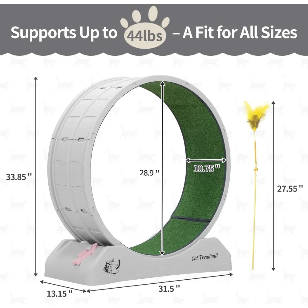 Indoor Cat Treadmill
