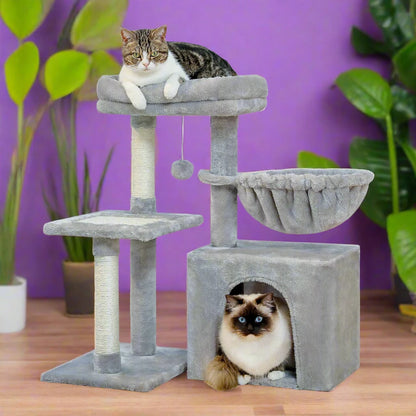 44730311803051|44730311835819