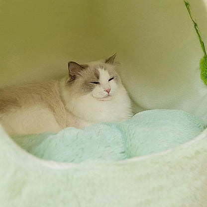 Frog Kitty Cave Bed