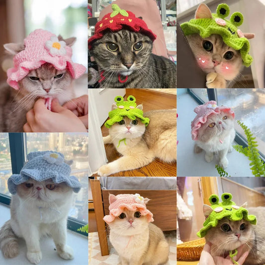 Knitted Cat Hats