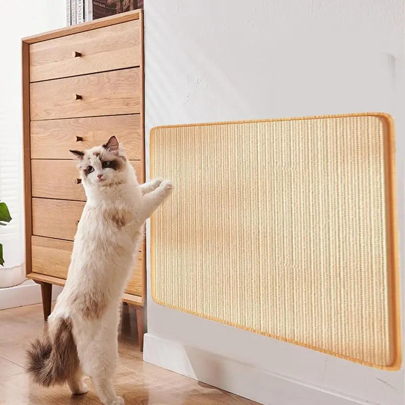 Cat Scratching Pad
