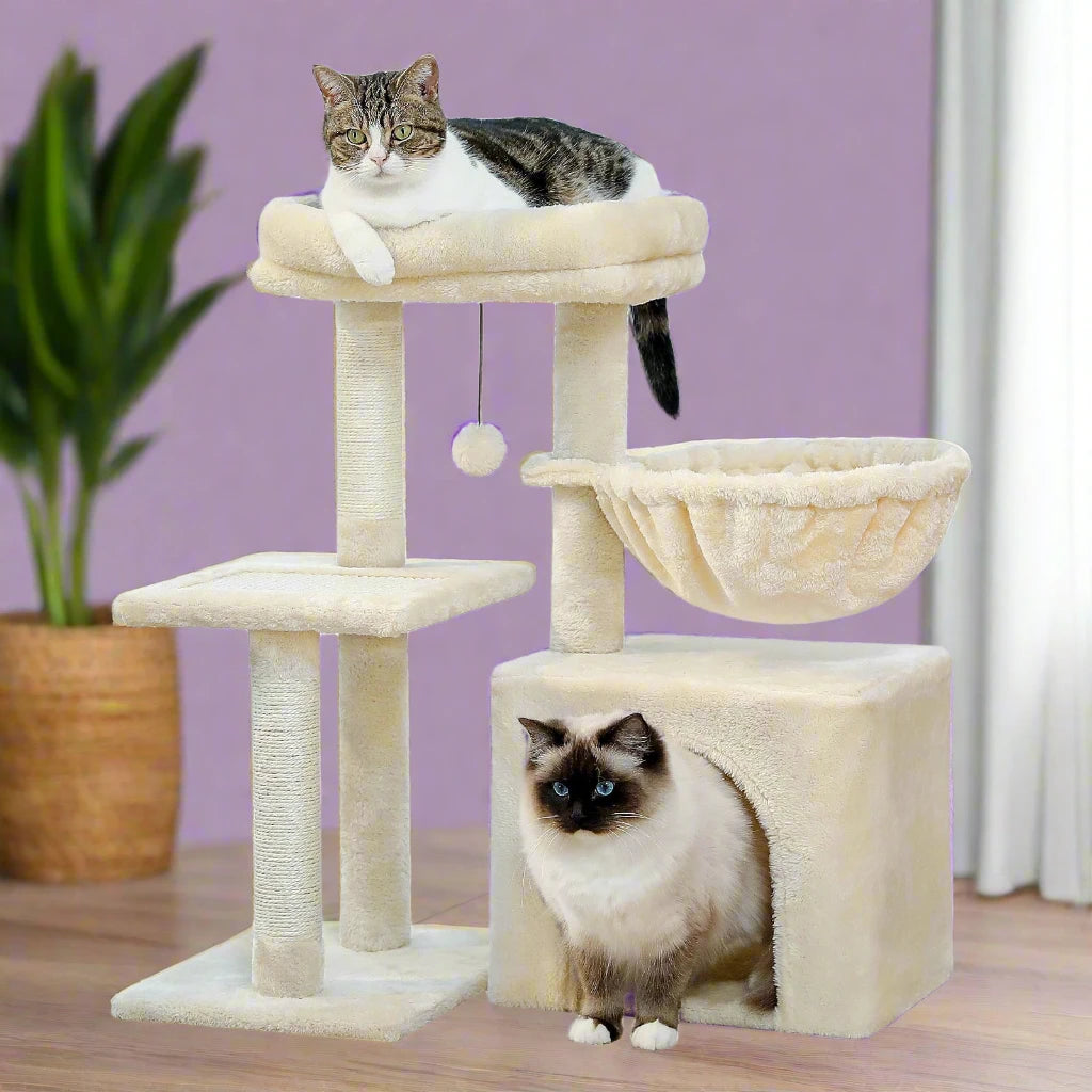 44730311868587|44730311901355