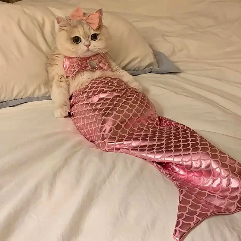 Cat Mermaid Outfit