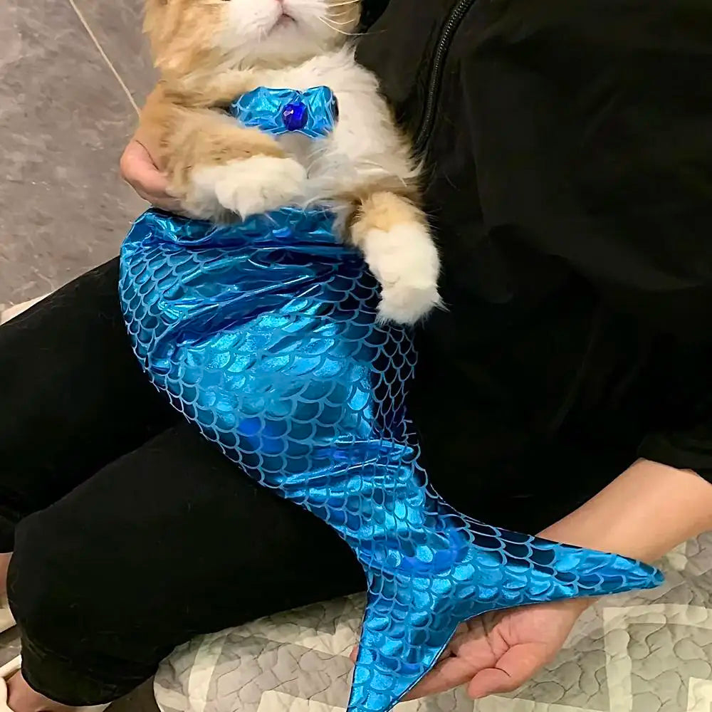 Cat Mermaid Outfit