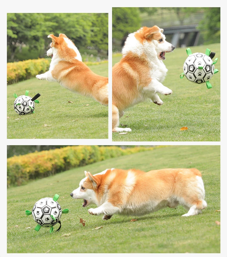 The Ultimate Soccer Ball