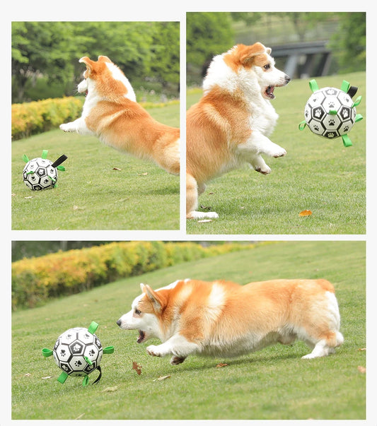 The Ultimate Soccer Ball