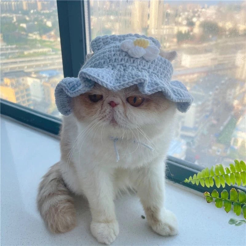 Knitted Cat Hats