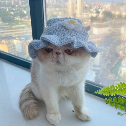Knitted Cat Hats